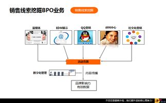 數贏云網絡科技 引領未來的網絡技術服務